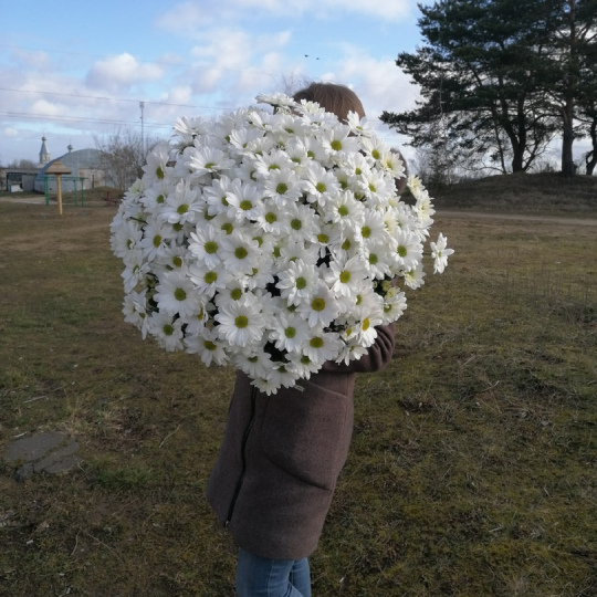Букет "Хризантемка" (XХL)