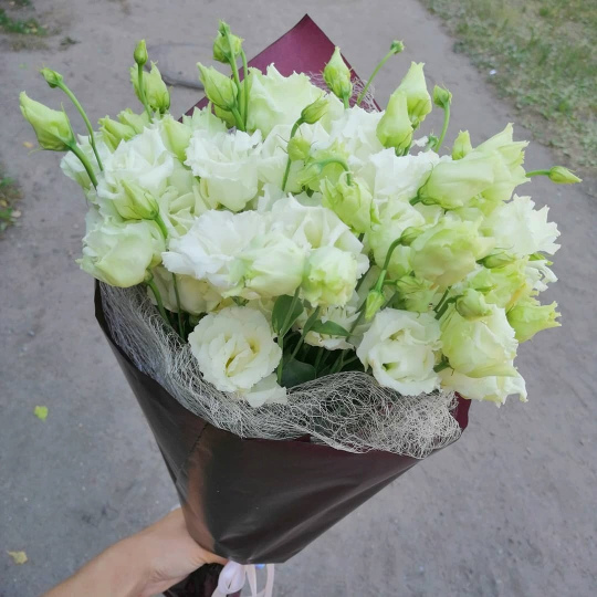 7 веток эустомы