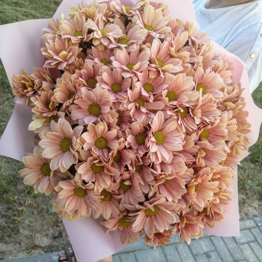Букет "Хризантемка" (XL)