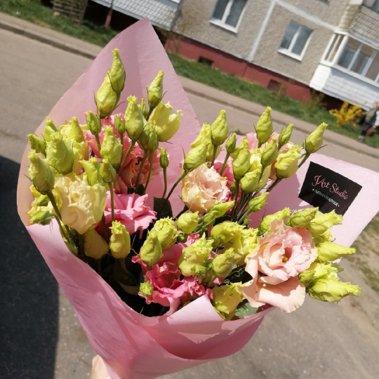 5 веток эустомы