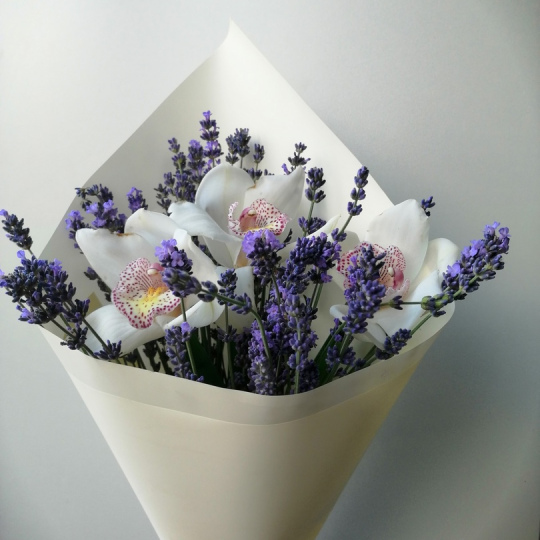 "Анжелика и король"