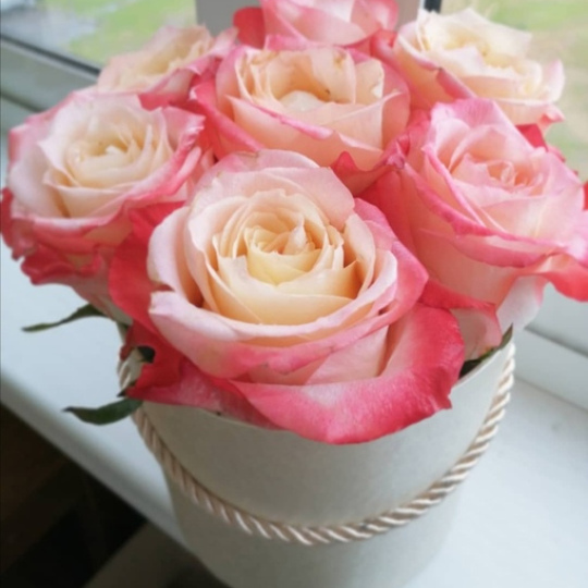 7 роз в коробке