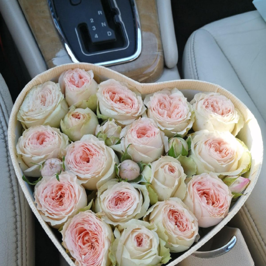 Коробка "Heart" (М)