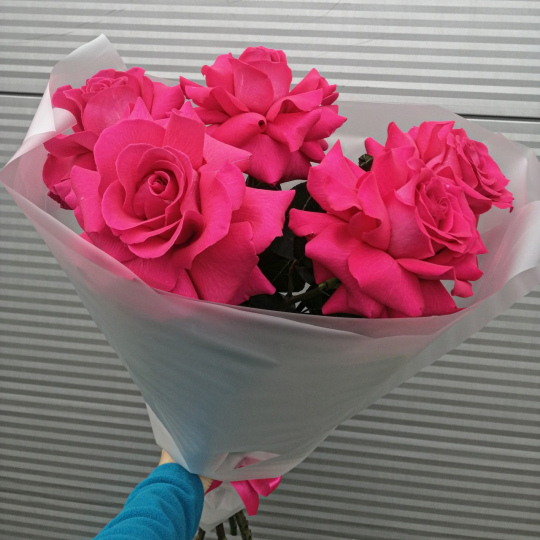 "Французские розы" - 5