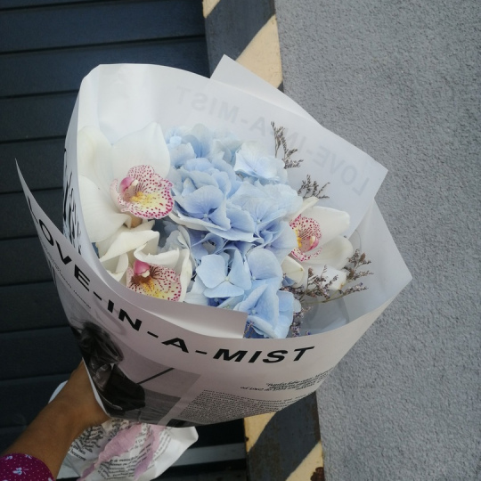 "Путь в Версаль"