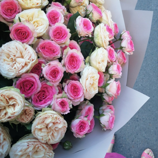 19 веток кустовой розы