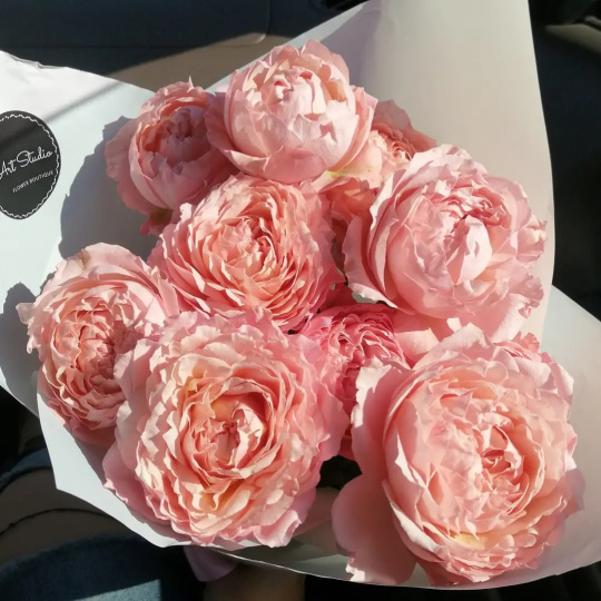 3 ветки пионовидной кустовой розы