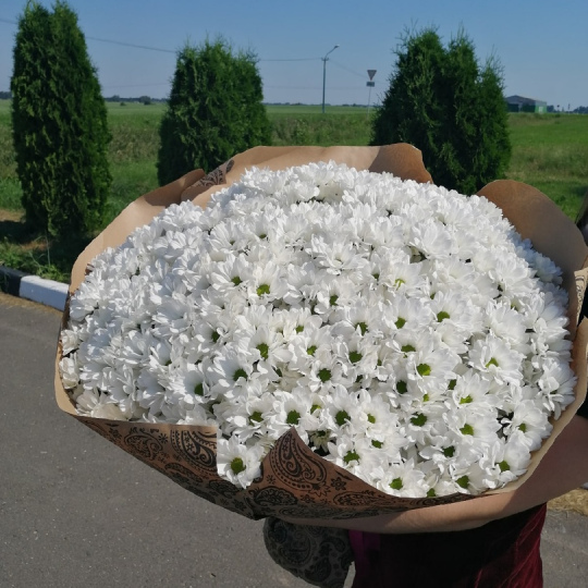 Букет-гигант "Вау"