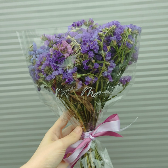 Сухоцветы -1