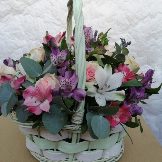 "Начни сначала" (S)