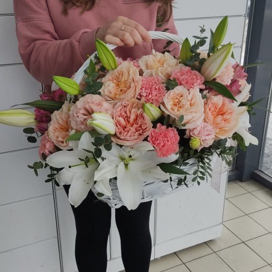 "Пеликан"