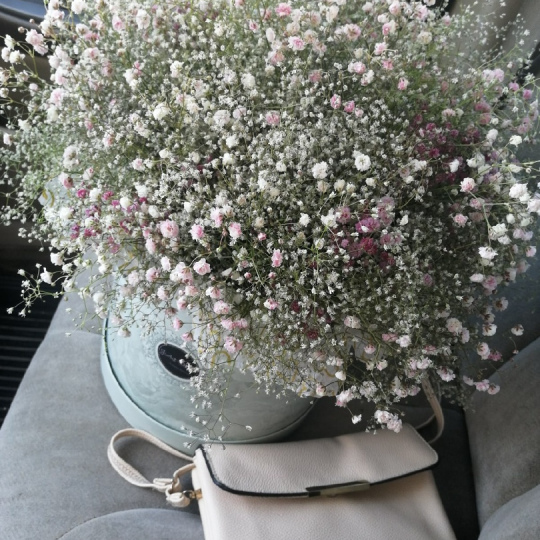 Коробка "Фраголино" (XL)