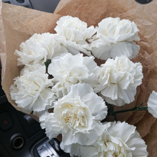 Букет "Кэрри" (XS)