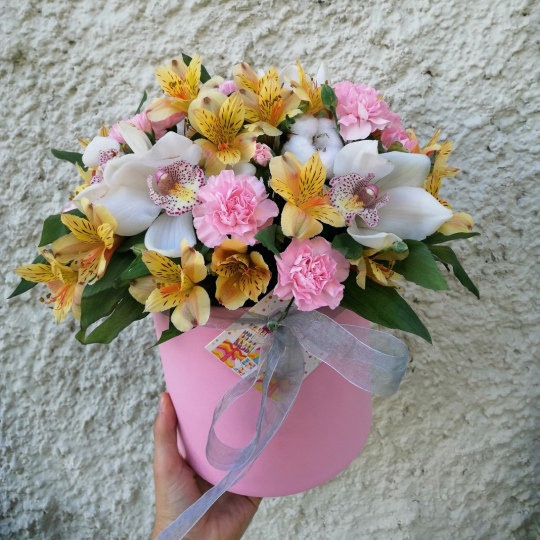 "Версальский роман"