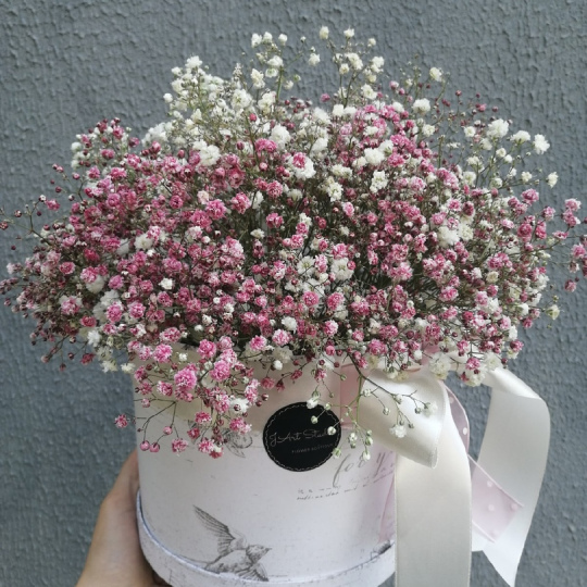 Коробка "Фраголино" (М)